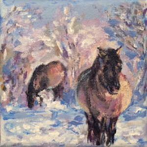 Konikhorses in wintertime                